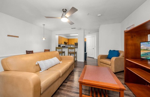 Bearss Plaza Apartamento | 2 MI to USF! Pet Friendly! Pool and Gym!