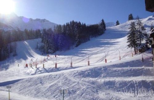 Les Avanchers-Valmorel Apartamento | 2 pièces à Valmorel, proche pistes & ESF, balcon - FR-1-356-226