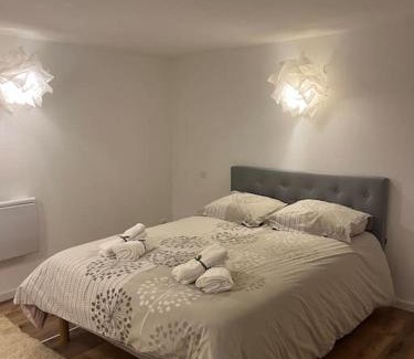 Plaine des Bouchers Apartamento | 2 pièces moderne et cosy à Strasbourg