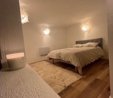 Plaine des Bouchers Apartamento | 2 pièces moderne et cosy à Strasbourg