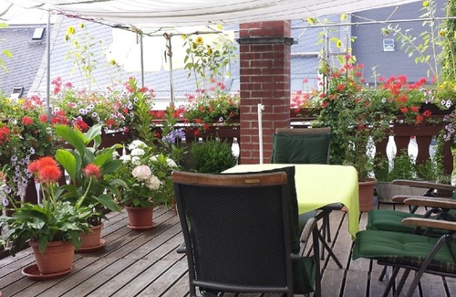 Marienberg Apartamento | 2 - room - apartment with garden view