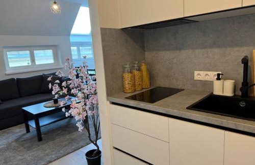 Dobling Apartamento | 2BR, Danube, Kahlenberg, Historic - FHG 16