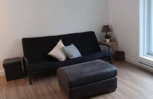 Les Rivieres Apartamento | 3,5 rénove avec cour anglaise