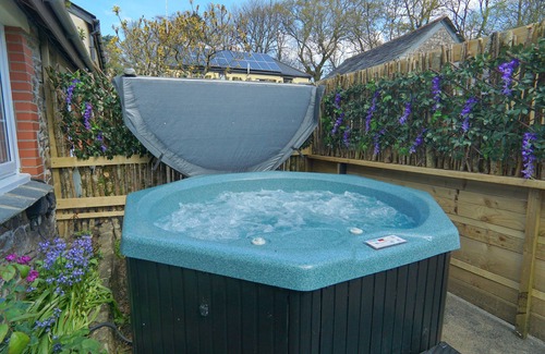 Holsworthy Cabaña | 3-Bed Cottage - Sleeps 5, Riverside, Hot Tub, Pets