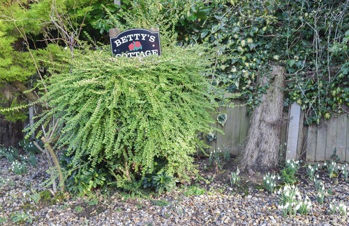 Swafield Cabaña | 3 bedroom accommodation in North Walsham