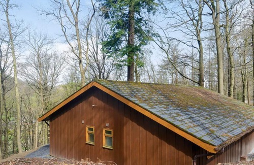 Garthmyl Cabina | 3 bedroom accommodation in Garthmyl, Montgomery