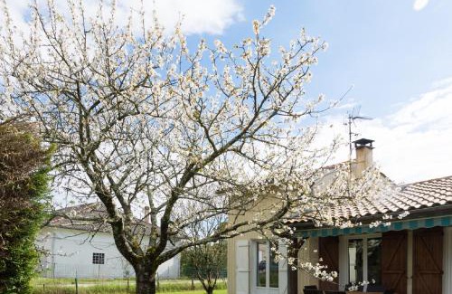 Vayres Casa | 3 bedrooms, very quiet, fully equiped, between Bordeaux and Saint-Emilion