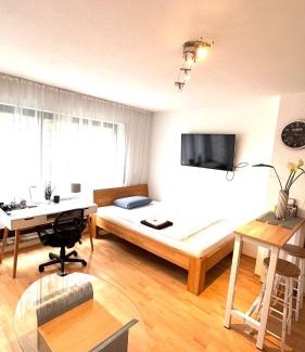 Wiesbaden Apartamento | 3-Wiesbaden Studio-Terrasse,WLAN,Parkplatz frei