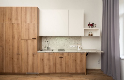 Vilnius Apartamento | 319 VNO Airport apartments equipped for full life