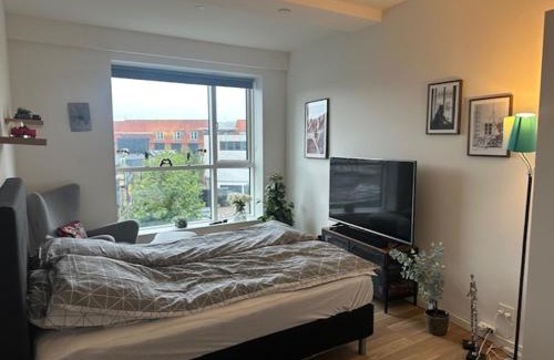 Vejle Apartamento | 37-2-4 Dæmningen