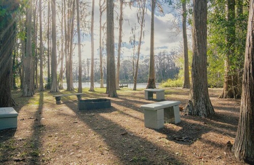 Greater Northdale Casa | 3bdr/2bth Lake Home (Tampa/LUTZ) close to all