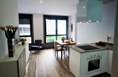 Lugo Apartamento | 4 Apartamentos de Autor