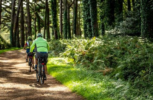 Llandovery Casa | 4 Bed in Halfway oc-t33077