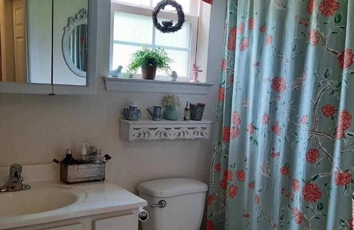 Groveland Casa | 4 bedroom house near Disney, beaches and state parks. Handicap accessible.