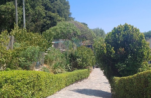 Peypin Villa | 4-bedroom Provencal villa with pool ideal for one or two families