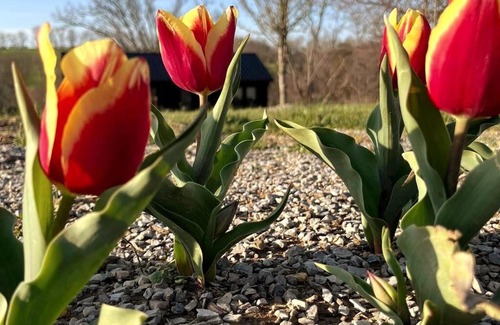 Lawrenceburg Chalet De Esquí | #4 Kentucky Bourbon Trail Bourbon Barrel Cottages