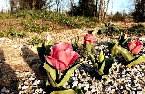 Lawrenceburg Chalet De Esquí | #4 Kentucky Bourbon Trail Bourbon Barrel Cottages