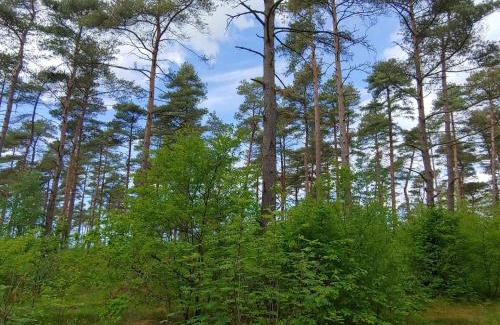 Jegum Casa | 4 person holiday home in Oksbøl-By Traum