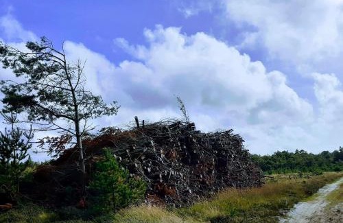 Jegum Casa | 4 person holiday home in Oksbøl-By Traum