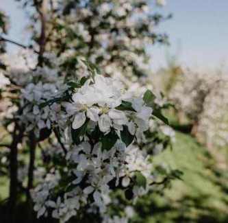 Rohrdorf Apartamento | 4 Sterne Ferienwohnung Hochries