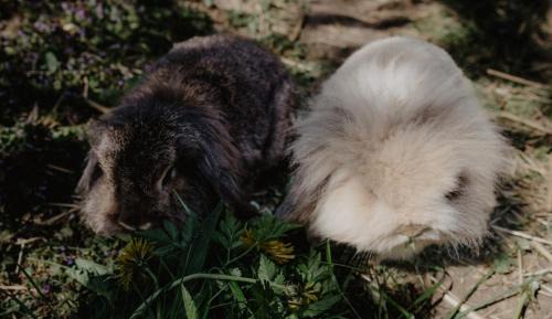 Rohrdorf Apartamento | 4 Sterne Ferienwohnung Hochries
