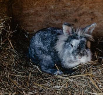 Rohrdorf Apartamento | 4 Sterne Ferienwohnung Hochries