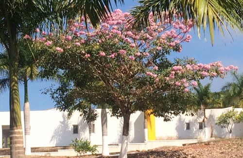 Santa Cruz Casa | #4 Villa Shared Pool & Spa, 3 Bedrooms/2 Bath, Private Beach Ramada