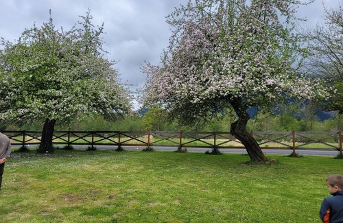 Randle Cabina | 40 minutes from White Pass! EV charging! New photos coming after remodel.