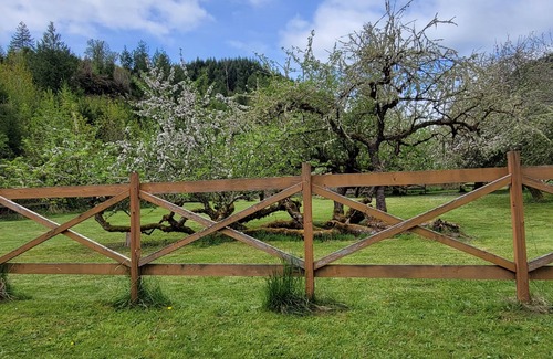 Randle Cabina | 40 minutes from White Pass! EV charging! New photos coming after remodel.