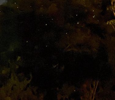 Katukitula Villa | 4154ft Ramboda