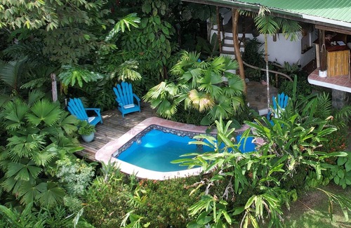 Puerto Jiménez Casa | 5 Casas en los árboles en la selva tropical rodeadas de naturaleza