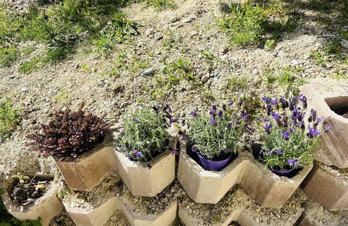 Pozzengo Casa | 5 Bedroom Private vacation home in Mombello Monferrato