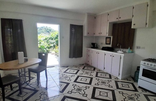 Kingstown Apartamento | 5 mins walk from Kingstown! Private 1-bedroom apartment with AC. Pet-Friendly!