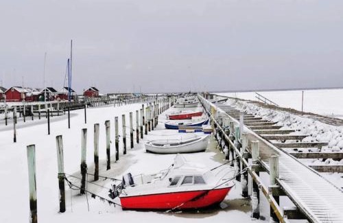 Oster Hurup Casa | 5 star holiday home in Hadsund-By Traum