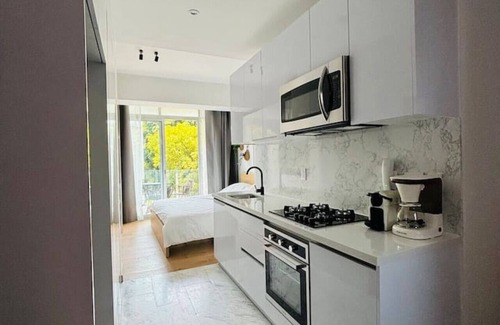 Zona Rosa de la Ciudad de México Apartamento | 5 Star Iconic Studio · King & Double Bed · Cibeles
