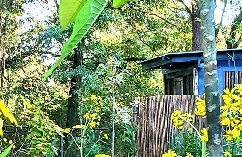 Bellview Alquiler De RV | Rustic Tiny Zen Cabin & Private Garden-BEACH 8 mi