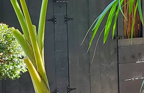 Bellview Alquiler De RV | Rustic Tiny Zen Cabin & Private Garden-BEACH 8 mi