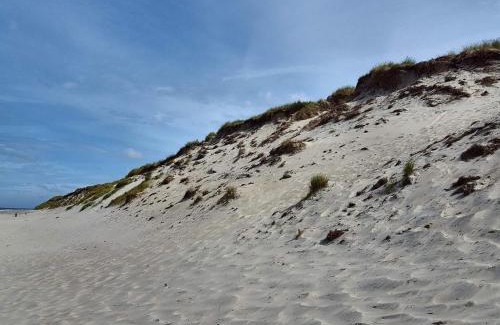 Sondervig Apartamento | 6 person holiday home in Ringkøbing-By Traum