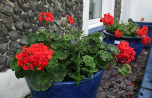 Borth-y-Gest Casa | 7 Mersey Street, Borth-y-Gest