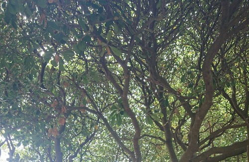 La Franqui Apartamento | 7 ALQUILER DE MUEBLES T2 CON APARCAMIENTO PRIVADO