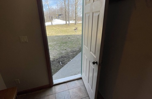 Clymer Condominio | 8409 PEEK N PEAK SLOPE SIDE SKI IN/OUT GOLF LIFT 8,Firepit