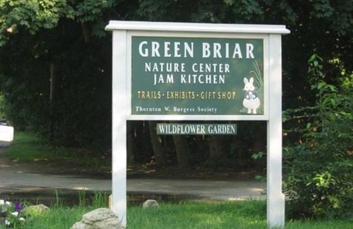 East Sandwich Cabaña | 99 N. Shore Blvd A - Just 1 cottage back from beach w. ocean & marsh views