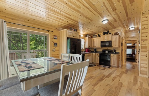 Pigeon Forge Cabina | A Bearadise