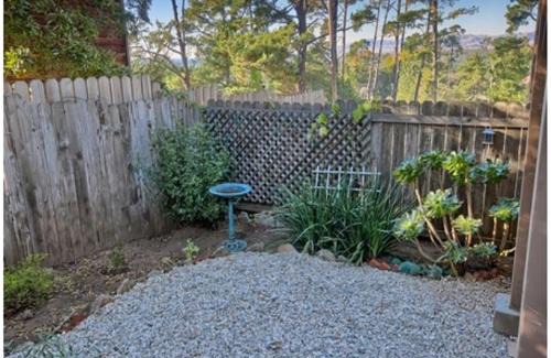 Lodge Hill Casa | A Beautiful Tree Top Panorama