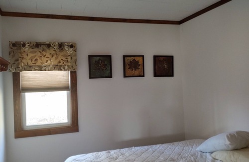 Cameron Cabina | Una cabaña construida para visitas de confort y escénicos