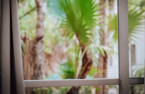 Benito Juárez Casa | A full of love Jungle Hotel where everything is connected with nature