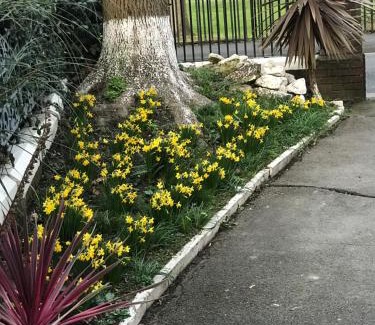 Gosport Casa | A Gosport Inn - Free Private Parking