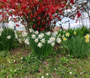 Koprivnica Casa | A house, free parking, sauna