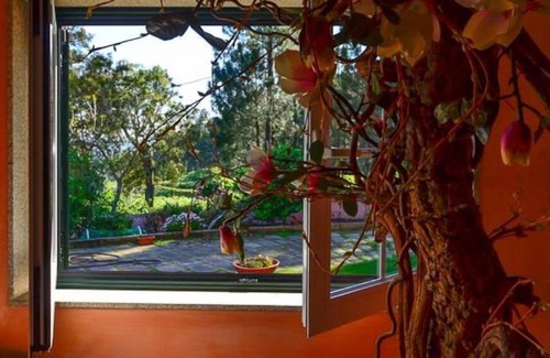 Penafiel Cabaña | Una casa con alma - Casa con jardín