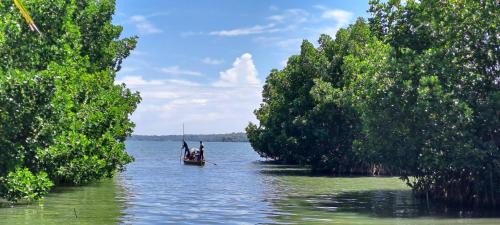 Munroe Island Casa | A K Munroe Homestay